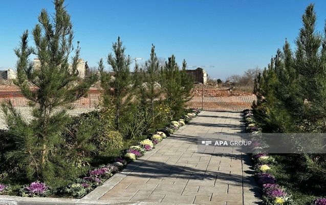 agdamda-5-hektarliq-merkezi-park-salinacaq