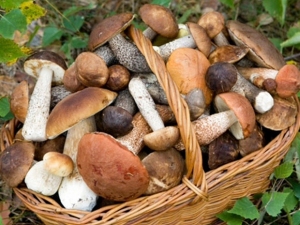 ailenin-bes-uzvu-gobelekden-zeherlendi-saatlida