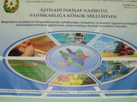 sahibkarliga-komek-fondu-bolgede