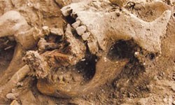 italiyada-iki-caduger-qadinin-cesedi-tapilib