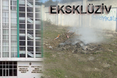 zibili-yandirmadan-temizlik-olsun