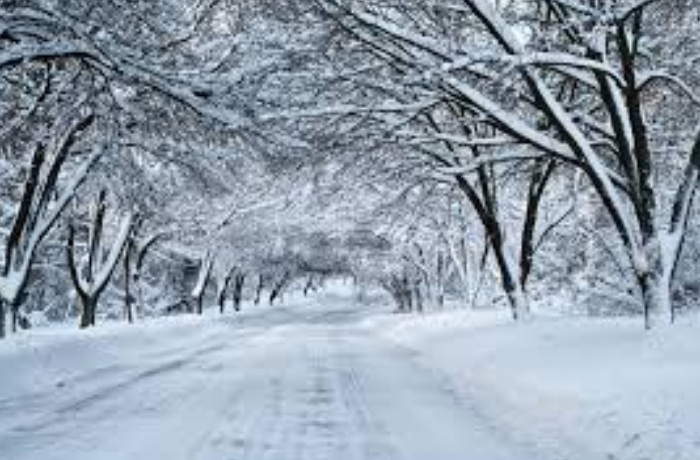 zaqatalaya-30-sm-qar-yagdi