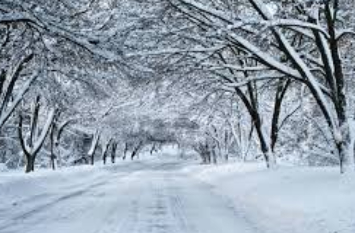 dagliq-erazilere-qar-yagdi